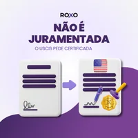Tradução juramentada nos Estados Unidos: o que o USCIS realmente aceita