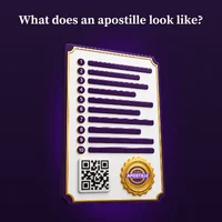 What does an apostille look like: the seal, the 10 numbered fields and the QR code