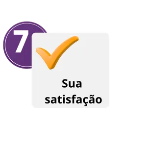 Etapa 7 do processo: tradução entregue pelo WhatsApp em PDF não editável