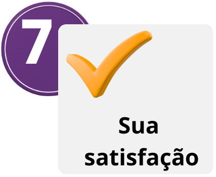 Etapa 7 do processo: tradução entregue pelo WhatsApp em PDF não editável