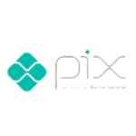 Servicios de traducción de pagos PIX | Traducción segura de documentos de transferencias de dinero